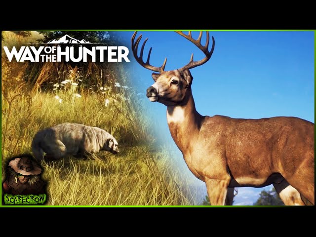 Way of the Hunter - Animals of the Pacific Northwest Trailer 