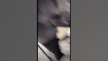 Customer asks why their Subaru sounded like a diesel #shorts #racecar #subaru