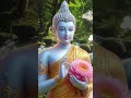 Thử Thực Tập Nhìn Vào Điều Tốt Của Người Khác | Bạn Sẽ Ngạc Nhiên Với Kết Quả.  #tamanlac