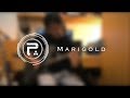 Rayn - 'Marigold' Guitar Cover - Periphery