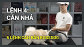 BÀI 4: DẠY CHÓ CẮN NHẢ THEO HIỆU LỆNH