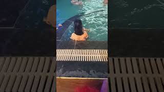 tip tip barsa Pani ( swimming pool)#trending