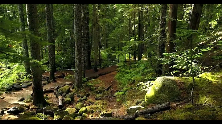 1448735-uhd_4096_2160_24fps.mp4