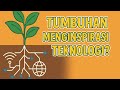 Teknologi Masa Depan Ternyata Meniru Tumbuhan! Fakta Mengejutkan di Balik Alam yang Cerdas!