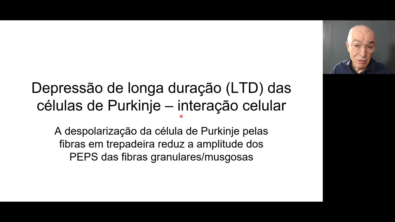 Cerebelo aula 4 memória