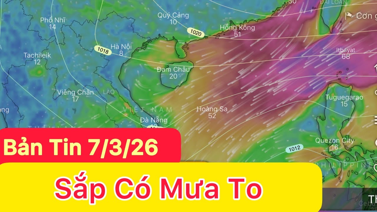 Sắp có mưa to | liên tiếp rét tăng cường | Dự báo thời tiết hôm và ngày mai 7/3