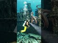 #history #fighting#water#fishing#starfish #underwater #wildlife #automobile #travel #mermaid