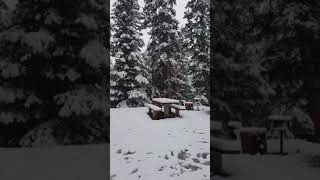 Wilcox Pass campgrounds with snow