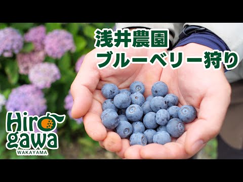 浅井農園の紹介動画サムネイル