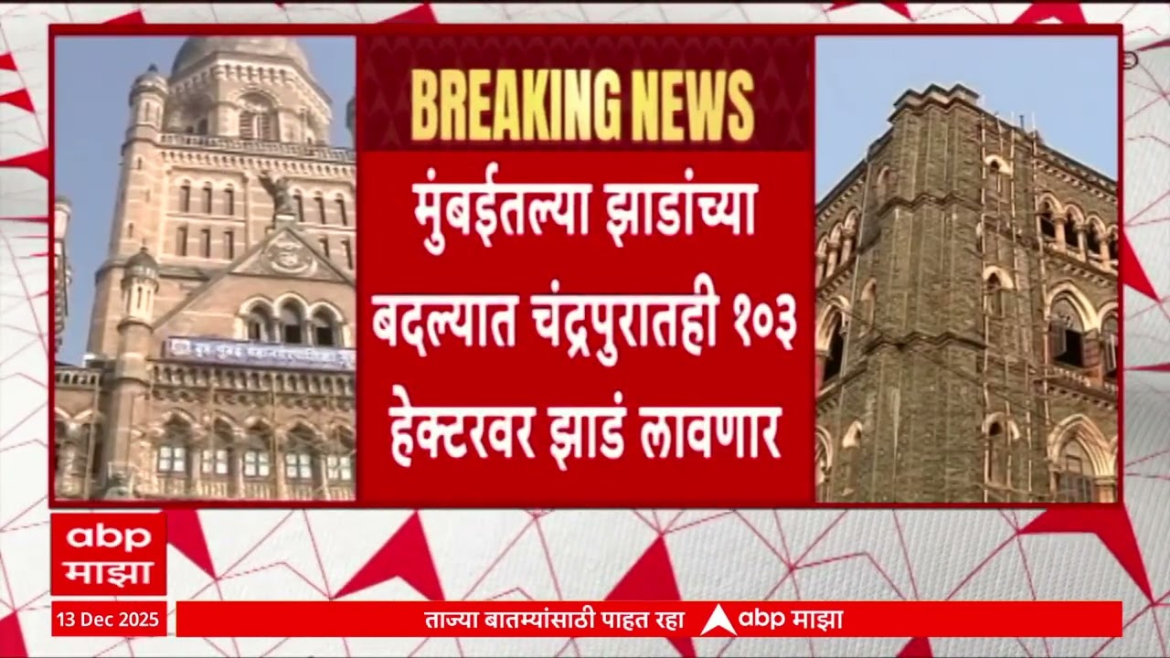 Mumbai Tree Cutting : मुंबईतल्या झाडांच्या बदल्यात चंद्रपुरातही 103 हेक्टरवर झाडं लावणार