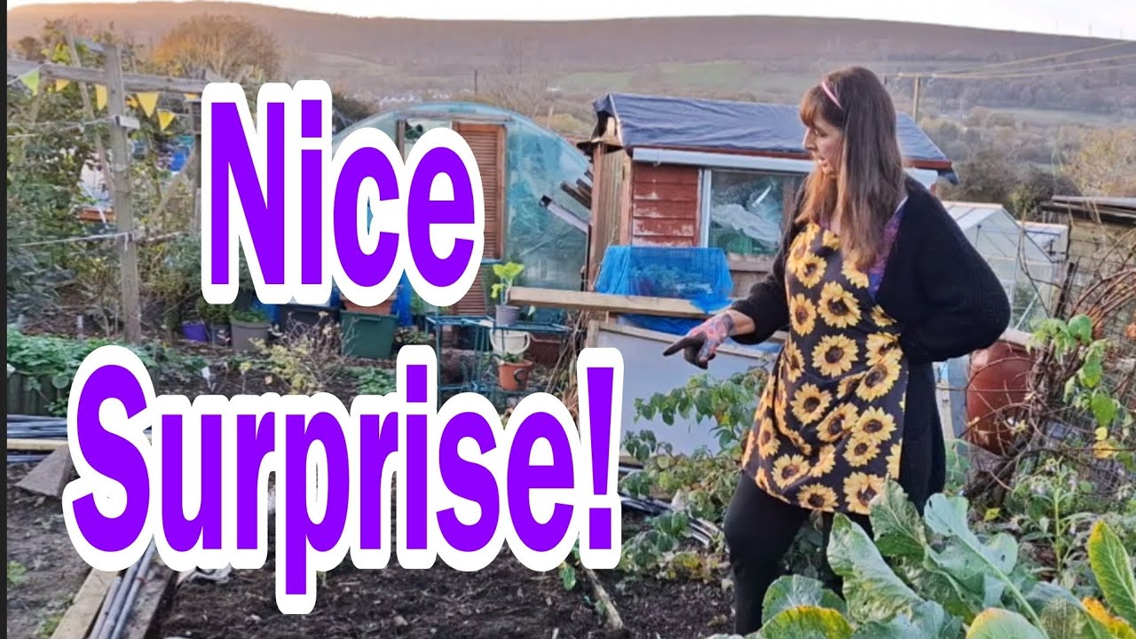 No Dig Raised Bed For November Planting (And a Nice Surprise) - YouTube