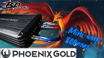 Phoenix gold mini mono makes great power on the dyno - mx800.1