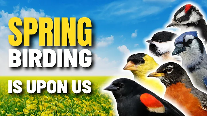 Signs Spring Bird Watching is Upon Us | North America - DayDayNews
