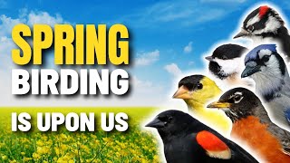 Signs Spring Bird Watching is Upon Us | North America