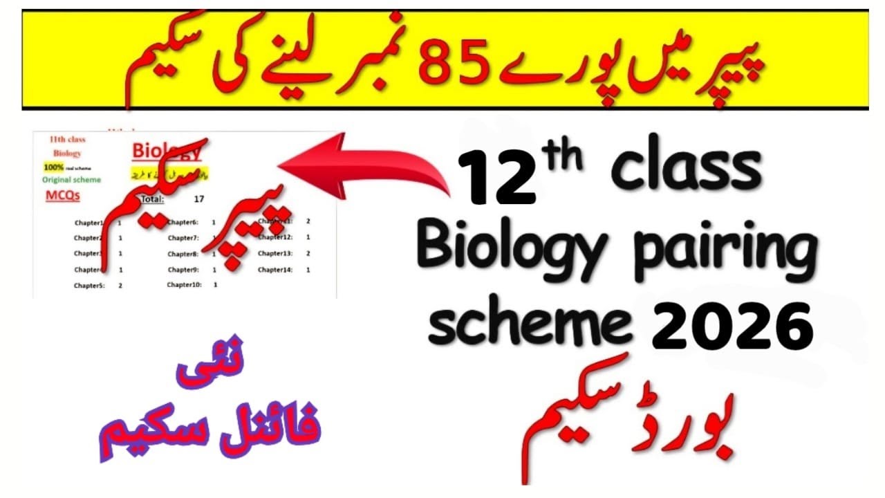 Схема парного тестирования по биологии для 12 класса (2026) | Структура экзаменационных работ по ...