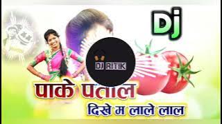 PAAKE PATAL _ पाके पताल _ pake patal _ Botlal Chauhan _ DHANESH DJ #NintySingh
