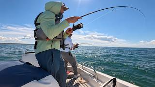 September Seabass in the beautiful Sound