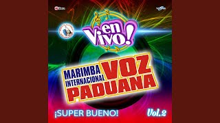 Video thumbnail of "Marimba Internacional Voz Paduana - Mix Cumbiando: Amor a Primera Vista / Vida de Rico (En Vivo)"