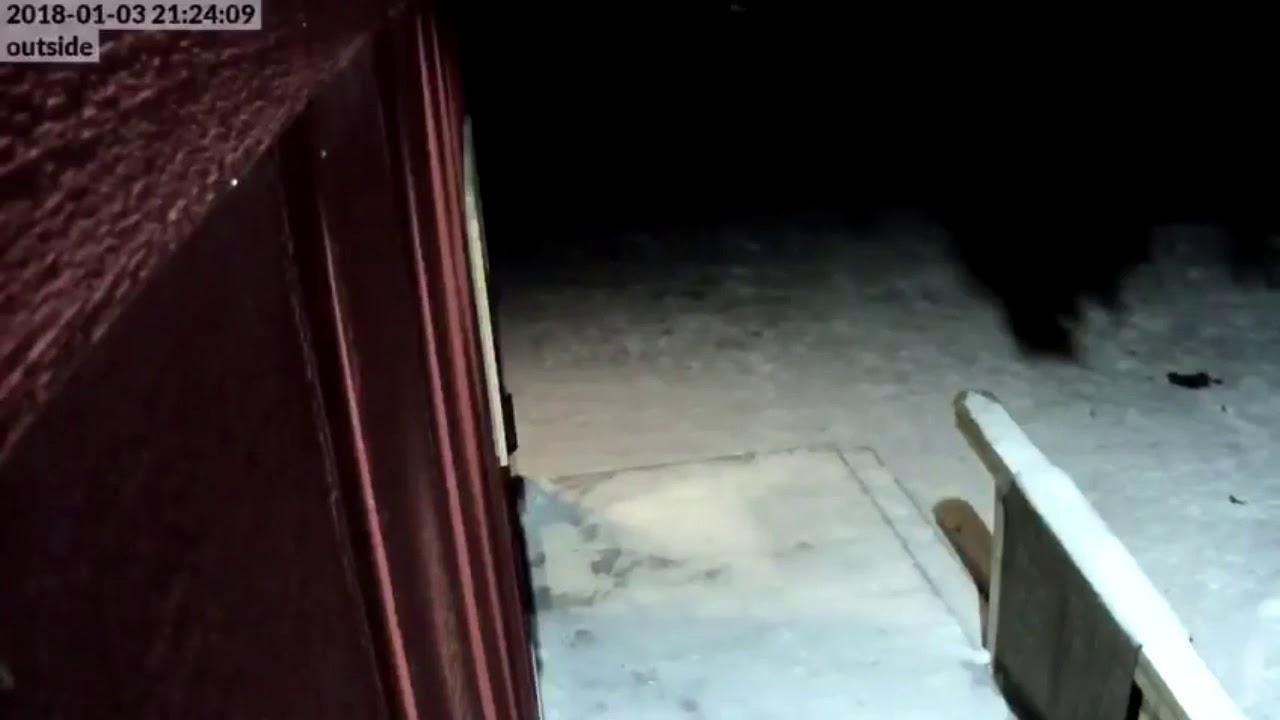 News Possible meteor flash in Baudette, MN YouTube