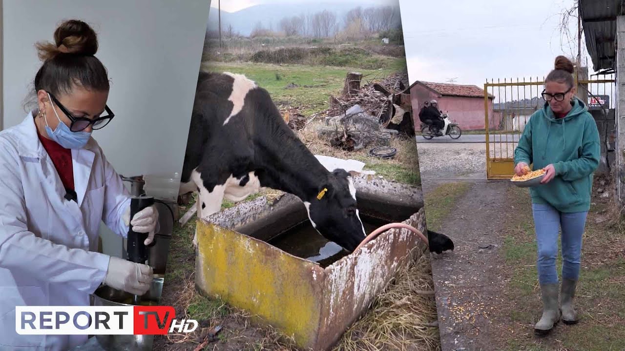 Një nga ne/Jeta me sakrifica e Lauretës në Blinisht: Pas punëve të fshatit, bëj sapunë me vaj ulliri