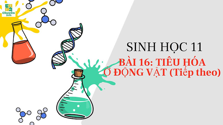 Câu hỏi và bài tập sinh học 11 bài 16