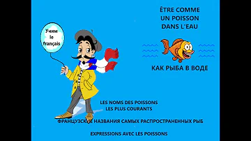 Les poissons. Vocabulaire français. Французские названия самых распространенных рыб.