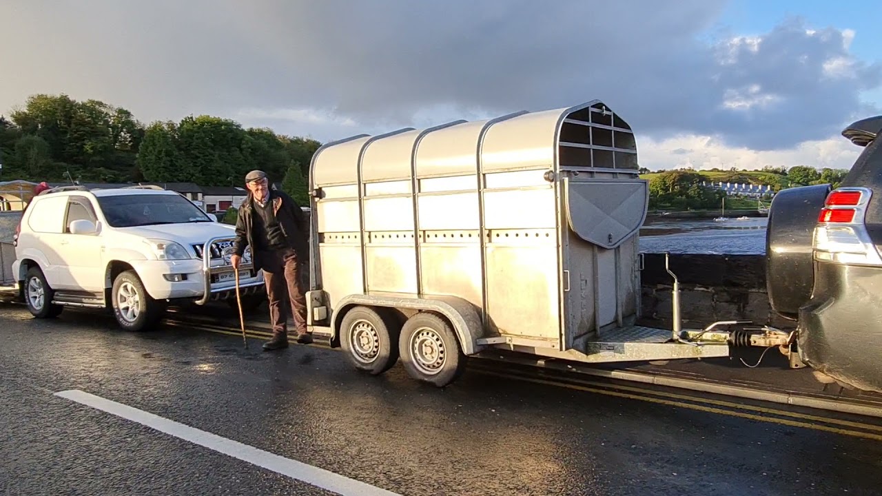 Newport Ram Fair. 4.10.2021.