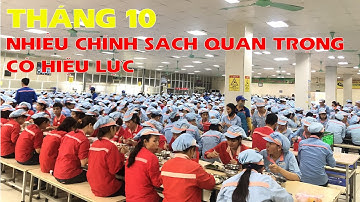 Nhiều chính sách quan trọng có hiệu lực từ tháng 10.2020