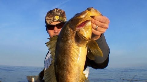 Crushing Calicos: Saltwater Bass Anglers Offshore Classic: Part 2