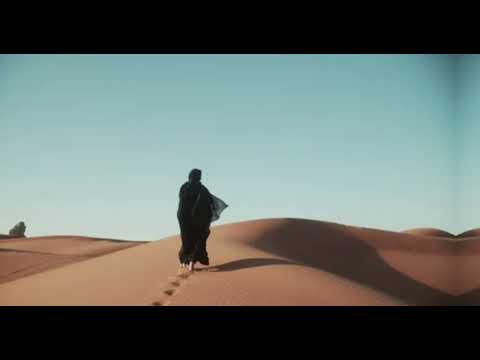 📹 Wain Meaady El Shab Arabs