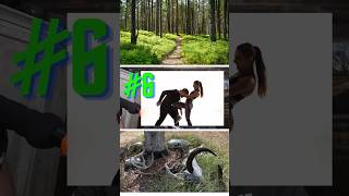 28 Uses For Trekking Poles - Pt 4 #backpacking #camping #adventure #bushcraft #hiking