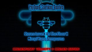 Stereo Love, On The Floor & Mimpi Yang Sempurna (Yay0un9 Soetikno Bootleg)