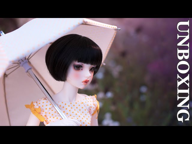 My 1st VOLKS Doll! Super Dollfie SDGr Alice/Lorina スーパー