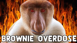 Hash Brownies Bis Die Dämonen Kommen - Weed Story