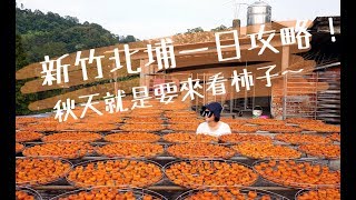 【Vlog】新竹北埔一日遊攻略！秋天就是要來看曬柿呀～ 言己,日常生活