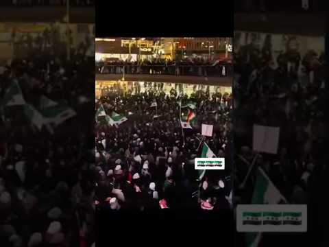 تحيا الثورة