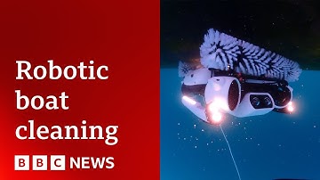 The robotics cleaning Sydney Harbour | BBC News