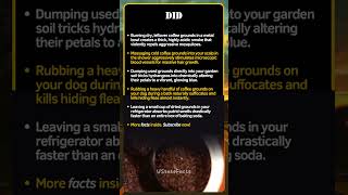 Why Throwing Away Coffee Grounds Is A Mistake