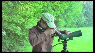 Swarovski UCA digiscoping adapter: DSLR cameras