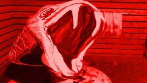 Night Whisper Lane Feature Short Teaser Trailer - iOS