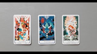 tarot: chọn tụ bài: bạn có quen biết hay gặp gỡ ai mới trong 2024 không?