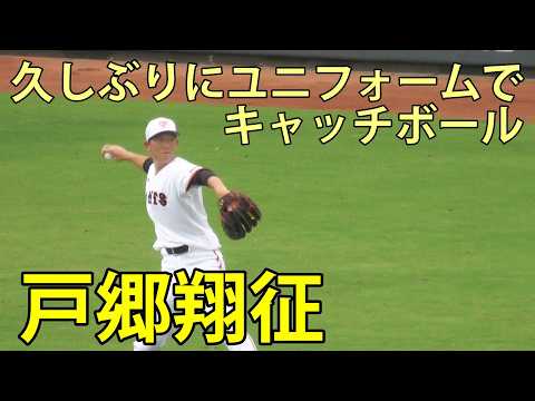 ちび助 読売ジャイアンツ 戸郷翔征選手のビジター用ユニフォーム 戸郷翔征 久しぶりにユニフォームでキャツチボール ジャイアンツ球場