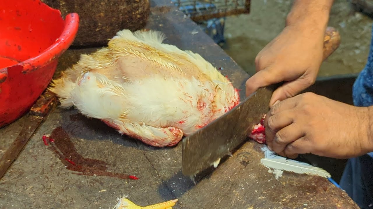 Amazing Chicken Cutting Method Chicken Cutting Techniques Chicken Cutting Skills  cuttingskills