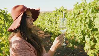 Fiano Wine: A Comprehensive Guide to Its Origins and Flavor Profile
