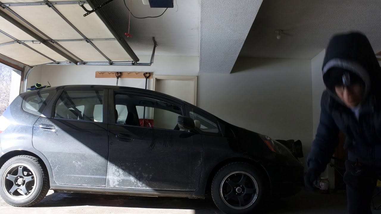 Our Dog Indie Jumping Through Car window Funtastic K9 Training YouTube