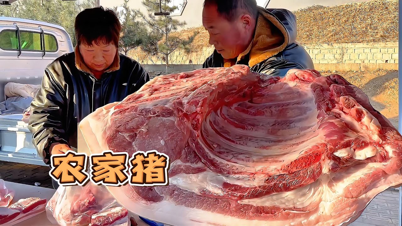 北方人囤豬肉熱火朝天，400公斤大肥豬華哥開張一下賣一頭豬，這頭豬顏色太漂亮了【玖叔v​​log】