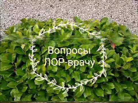 Вопросы ЛОР-врачу✔