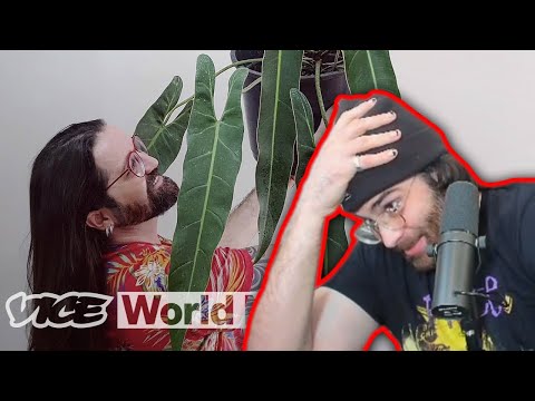 Thumbnail for Hasanabi Reacts to This Plant Costs $14,000 — And People Are Stealing It | VICE