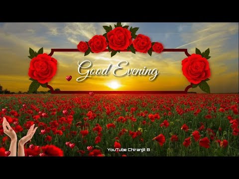Good Evening Beautiful Video