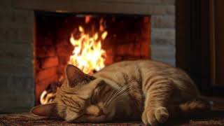 Fireside Bliss | Cat's  Sleep by the Crackling Hearth